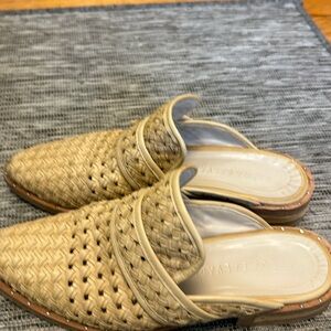 Freda Salvador Keen Mule